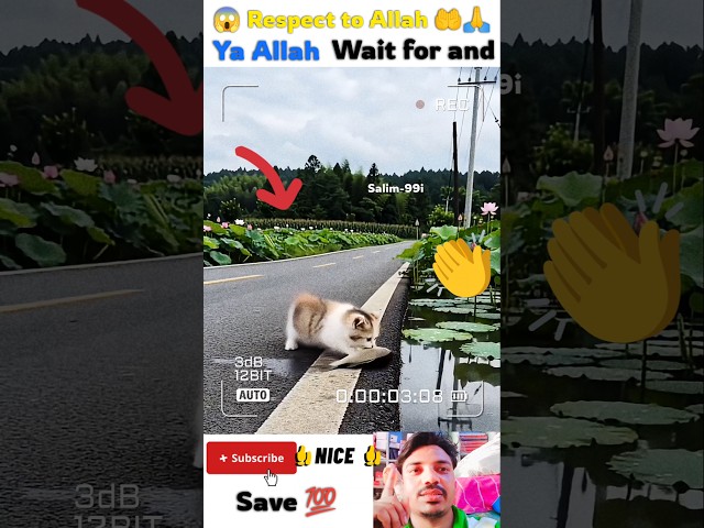 mashallah 🤲😇 respect 😍#allah​ #status​ #short​ #shorts​