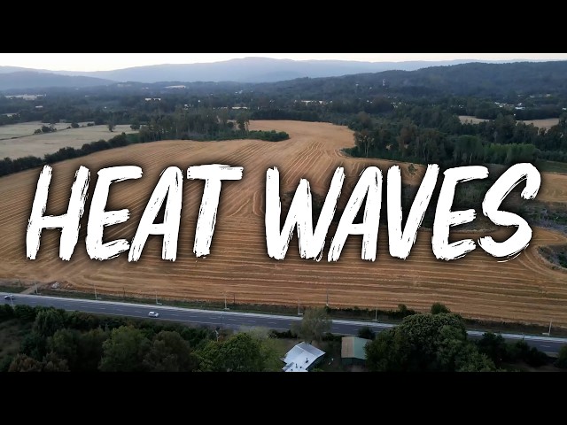 Glass Animals - Heat Waves (Lyrics)