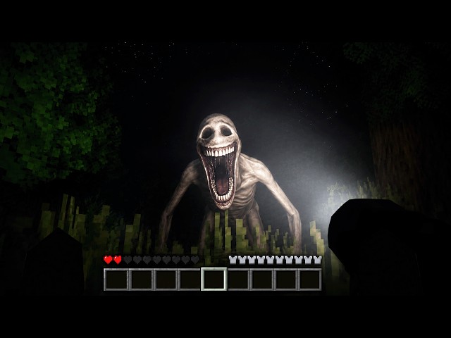 I Played The REAL Verity Mod...