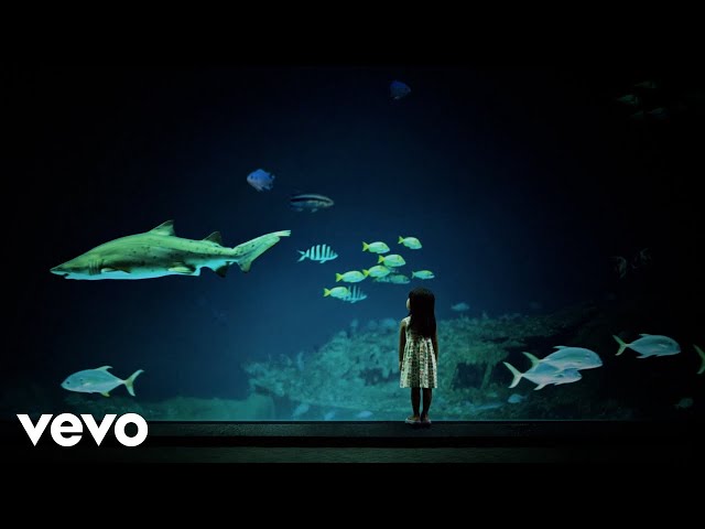Bring Me The Horizon - Black & Blue (2026 Repented - Lyric Video)