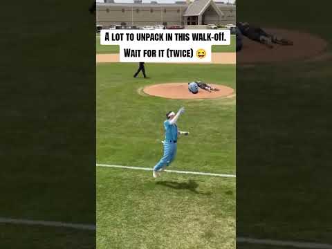Wide range of human behavior in this walk-off ⚾️😆 #shorts