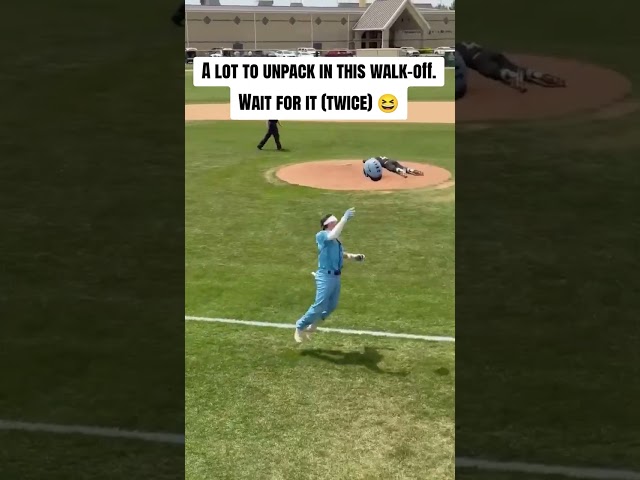 Wide range of human behavior in this walk-off ⚾️😆 #shorts